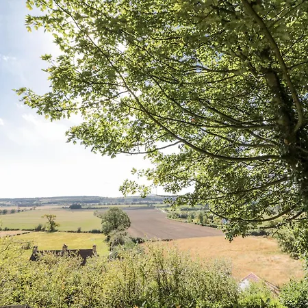 Honeysuckle * Oswaldkirk